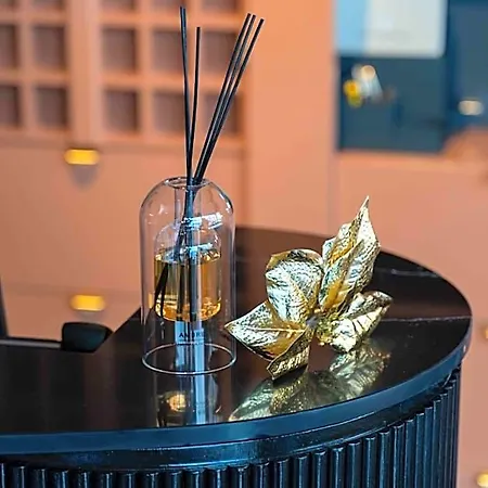Hotel Restaurant Le Regina